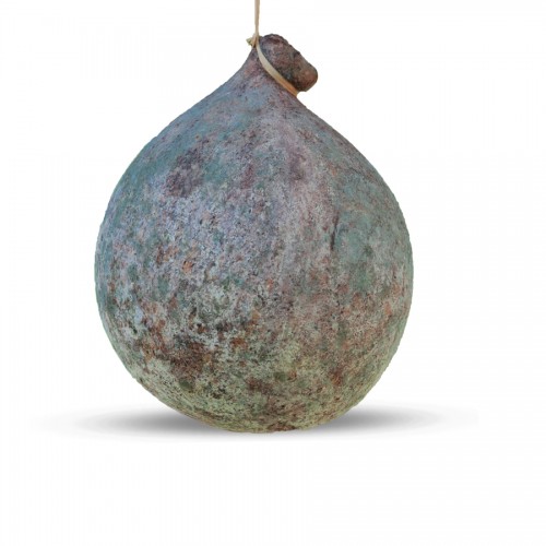 Caciocavallo Podolico in...